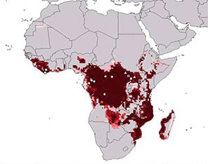 Ebolavirus range predicted by the CDC [2].